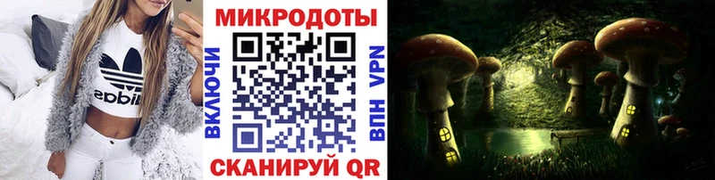 OMG ссылки  Избербаш  Псилоцибиновые грибы Psilocybine cubensis 