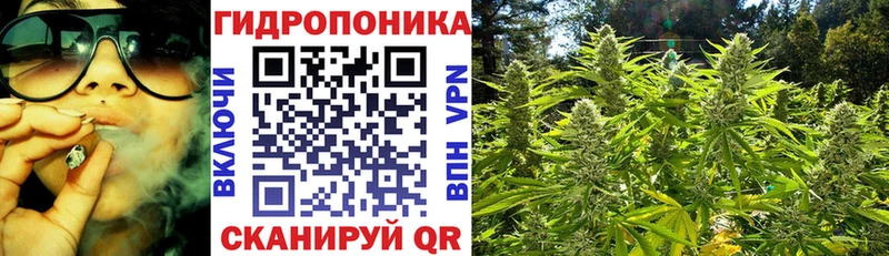 сайты даркнета телеграм  KRAKEN ССЫЛКА  Избербаш  Конопля SATIVA & INDICA 